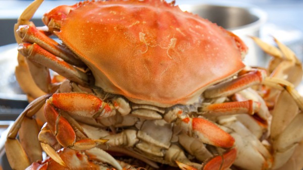 吃螃蟹肚子痛有什么东西可以缓解 螃蟹吃多了会怎样