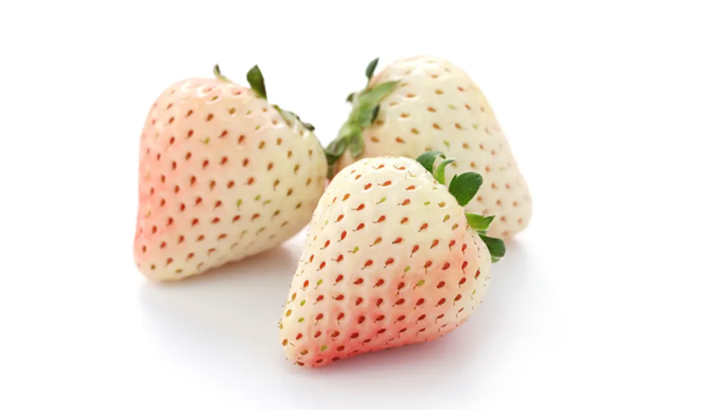 菠萝莓是什么水果？多少钱一斤？菠萝莓营养价值及选购方法