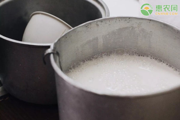 水牛奶和纯牛奶有什么区别？哪种营养价值高？