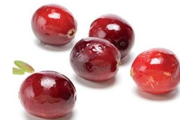 蔓越莓市场价格多少钱一斤 如何挑选蔓越莓