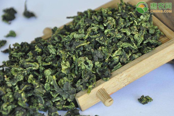 绿茶怎么挑选品质好？炒青、烘青、晒青、蒸青有什么区别