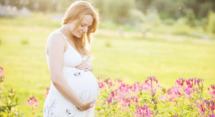 胎儿发育的特点，胎儿发育及生理特点
