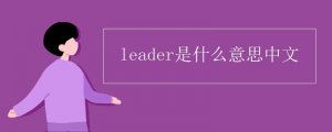 leader是什么意思中文，leader基本字义
